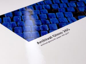 FOMEI Archival Gloss 265